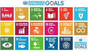 NAWO's Submission to the WESC on Sustainable Development Goal no. 5